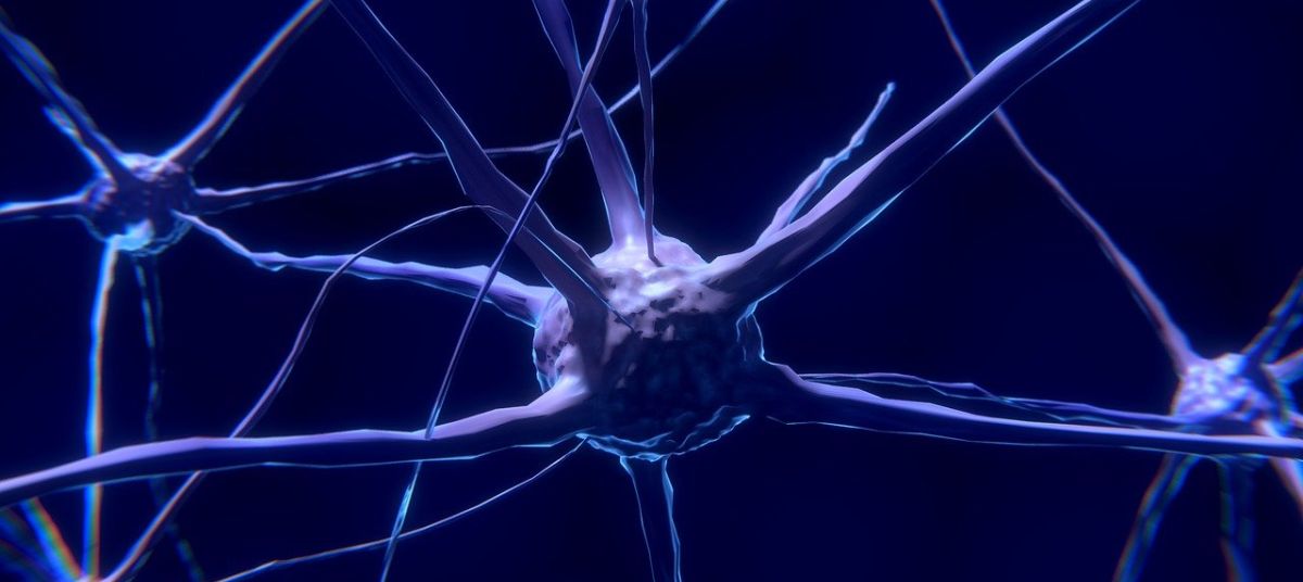 Biogen returns global IP rights on Alzheimer’s drug to Neurimmune