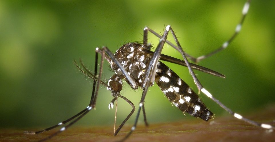 ETH spin-off develops solution for Zika Virus
